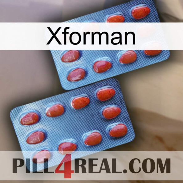 Xforman 05.jpg